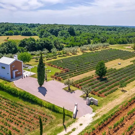 Vakantiehuis Luxurious In
